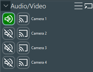 Panel_Audio-Video