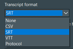 VSP_AI-TrancriptFormat